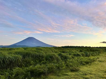 朝の草原から見る夏の富士山 朝の草原から見る夏の富士山の写真