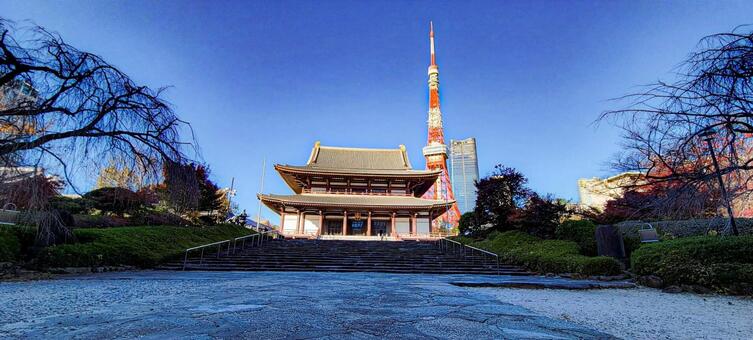 増上寺 増上寺,東京タワー,紅葉の写真素材