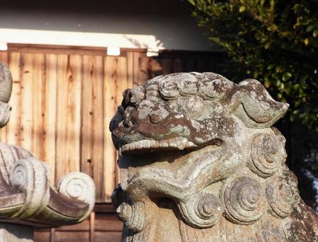 神社にある古い狛犬 神社にある古い狛犬の写真