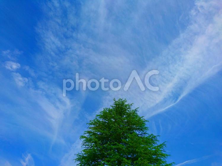 青空と雲と山と木々 丘,何人もありません,光の写真素材