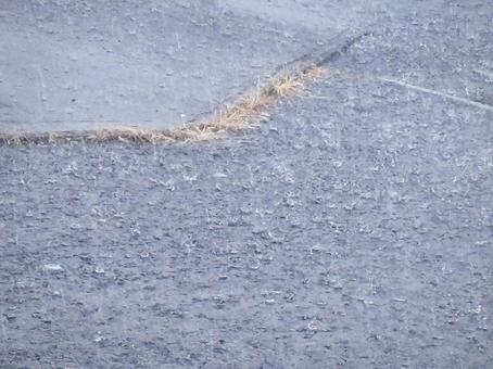 打ち付ける雨 02 打ち付ける雨 02 雨,降る,土砂降りの写真素材
