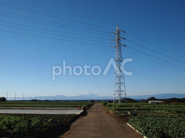 田園風景と海と富士山５ 田園,畑,畑道の写真素材