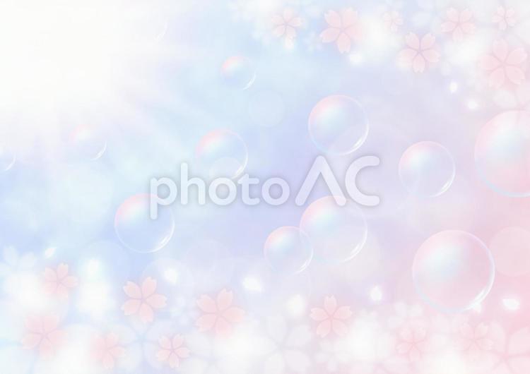 桜吹雪とシャボン玉　春の日差し　背景素材（紫色×桜色） 桜吹雪,桜,春の写真素材
