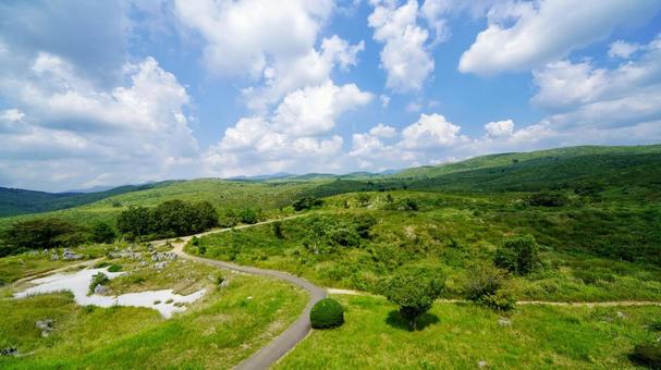 秋吉台 秋吉台 秋吉台,カルスト台地,美祢市の写真素材