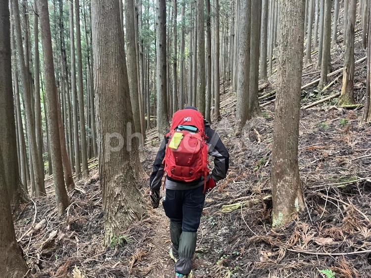 登山林 人,山,登山の写真素材