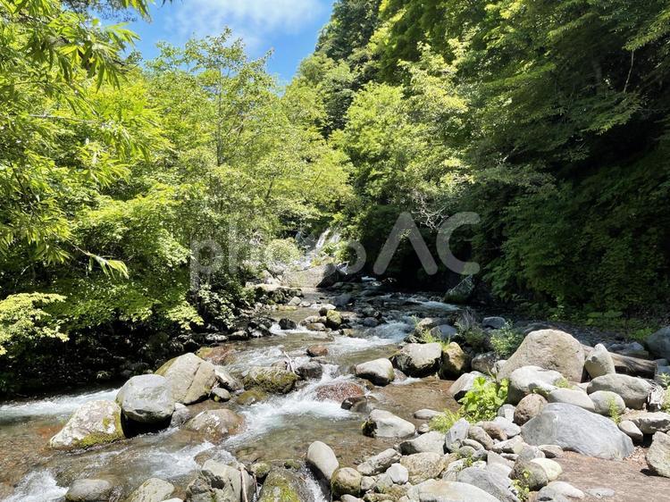 涼しげな風景 川,渓流,風景の写真素材