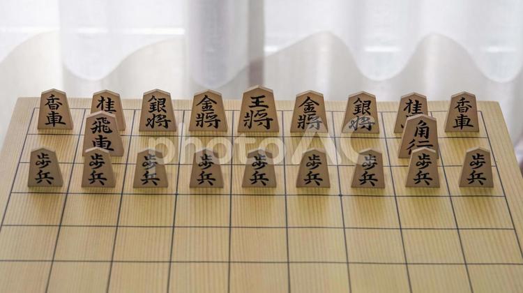 盤上に立てて並べられた将棋の駒 将棋,駒,こまの写真素材