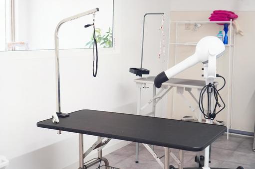 トリミングサロン・ペットサロン トリミング,トリミングサロン,トリマーの写真素材