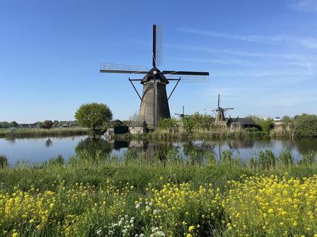 キンデルダイク＝エルスハウトの風車網の写真