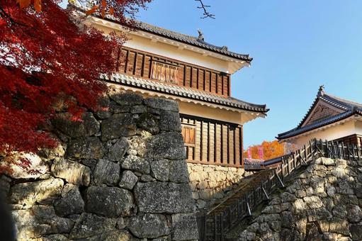 紅葉　長野県　上田城 紅葉,長野県,上田城の写真素材