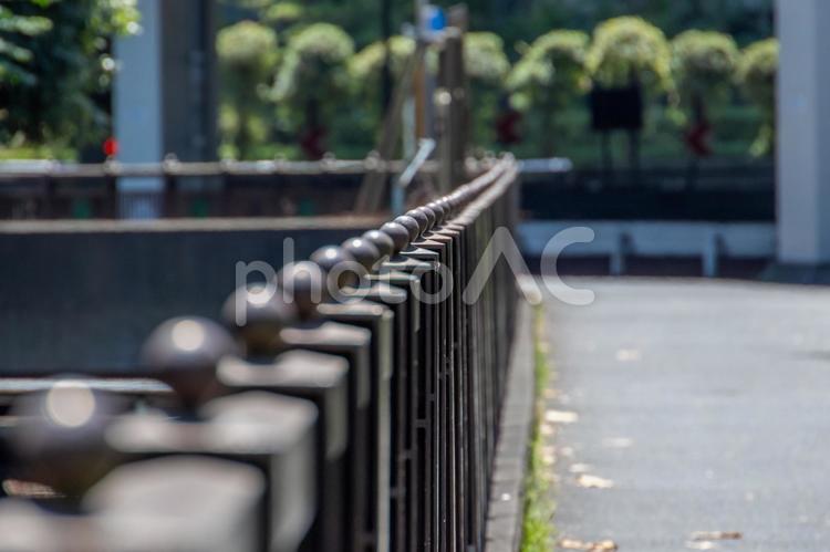 お濠の柵 柵,お濠,歩道の写真素材