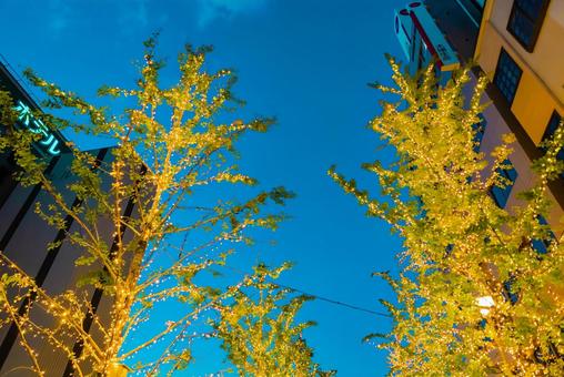 【佐賀】佐賀駅の周辺　イルミネーション 佐賀駅,佐賀,駅前の写真素材