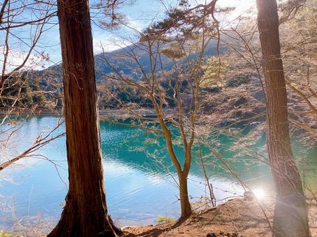 湖と冬 湖,冬,森の写真素材
