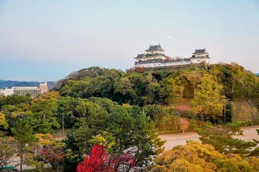 和歌山城と和歌山市街地 和歌山城と和歌山市街地 和歌山城,天守閣,ビルの写真素材