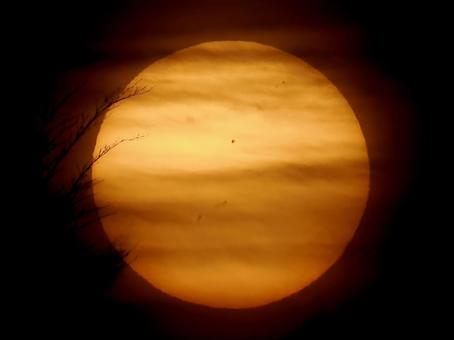 夜明けの太陽 夜明けの太陽の写真
