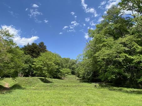 飯能の自然 飯能の自然 緑,山,新緑の写真素材