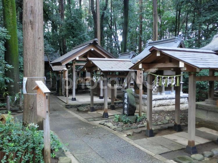 駒木諏訪神社の風景-25 駒木諏訪神社,千葉県流山市,諏訪之宮の写真素材