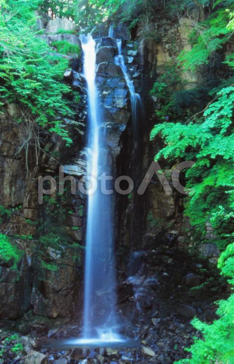 新緑の小野の滝 小野の滝,滝,新緑の写真素材
