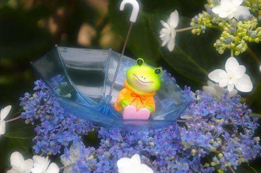 Photo, rainy season, image of rainy season, a frog, 
