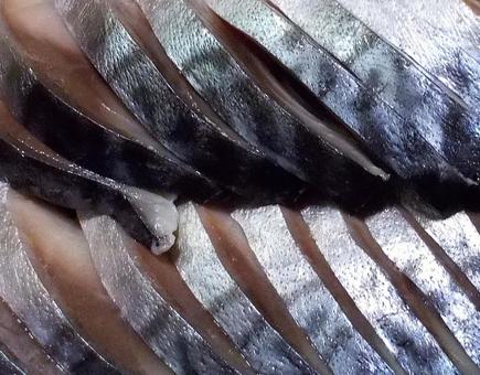 Shark mackerel, shark sgombri, sgombro, sashimi, JPG