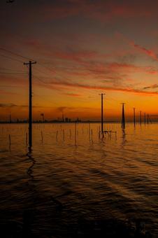 海中電柱 海中電柱,久津間海岸,夕陽の写真素材