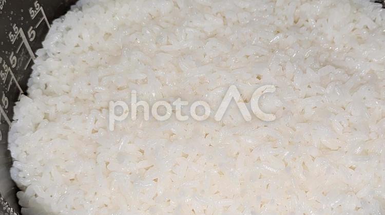 炊き立てのごはん ご飯,米,お米の写真素材