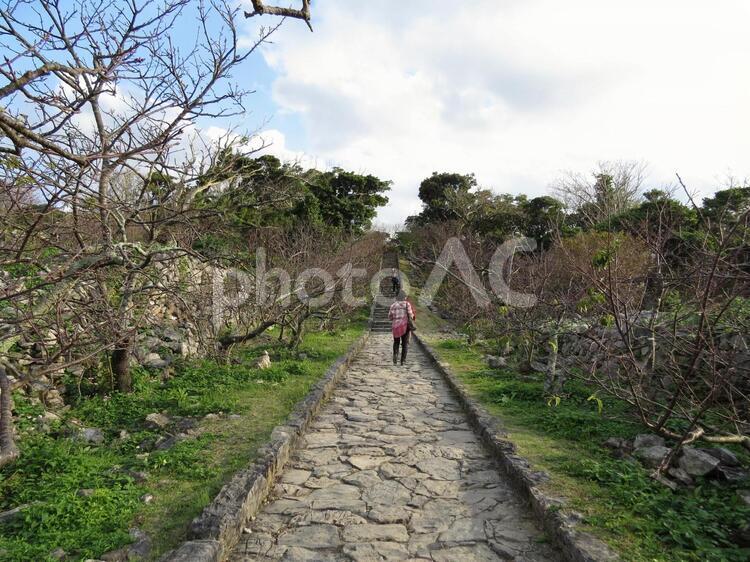 七五三の階段 沖縄北部,今帰仁村,今帰仁城の写真素材