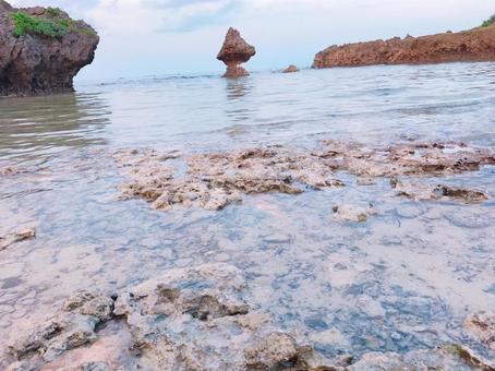 海と岩 海と岩の写真