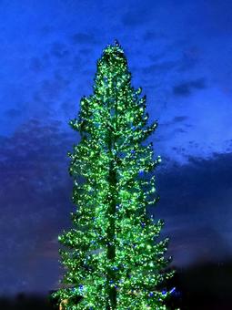 イルミネーション イルミネーション,電飾,光の写真素材