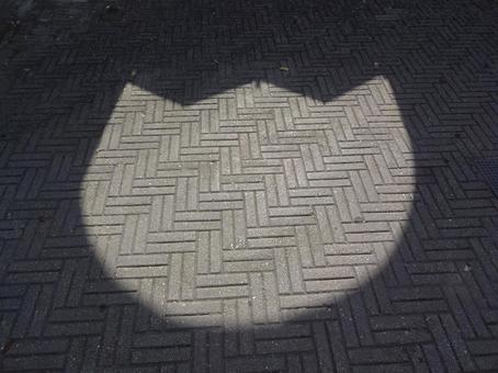 猫型の影 猫型の影の写真