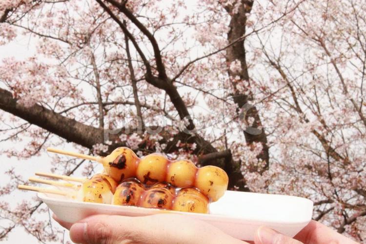 コロナ禍のお団子の花見イメージ 桜,花見,お花見の写真素材