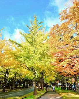 紅葉の季節の写真