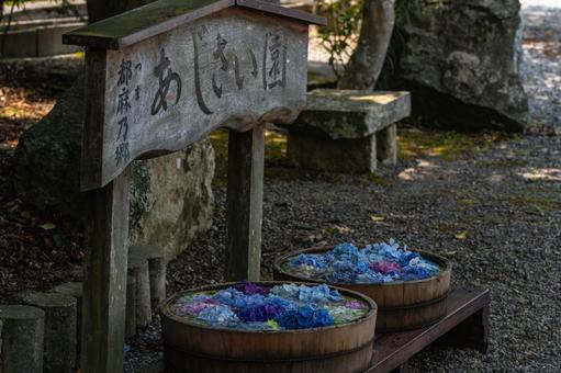 Tsumanogou Hydrangea Garden, JPG