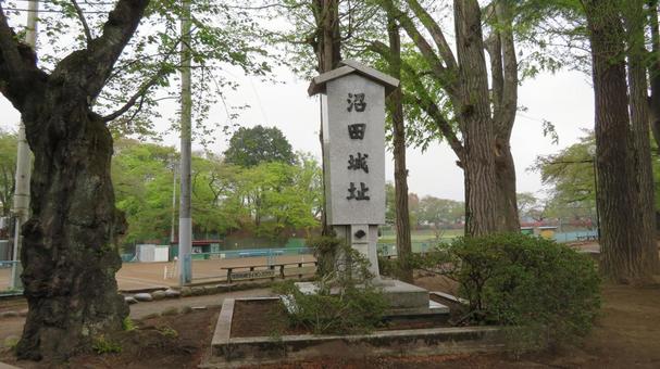 沼田城 沼田城址 石碑 沼田城 沼田城址 石碑の写真