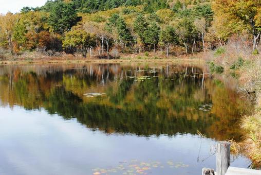 志賀高原一沼の紅葉 志賀高原一沼の紅葉 長野県,信州,志賀高原の写真素材