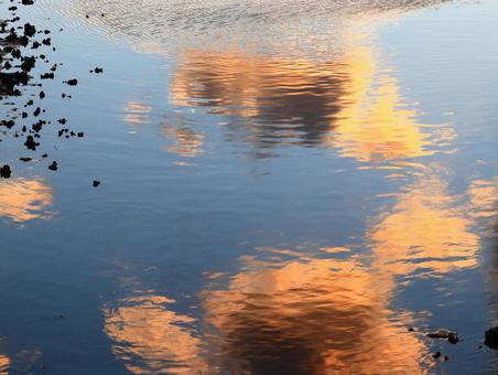 干潟の水面に映る夕暮れの日差しと雲 空,反射,干潟の写真素材