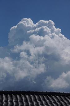 天高く 天高くの写真