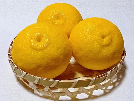 柚子 柚子,果物,ミカン科の写真素材