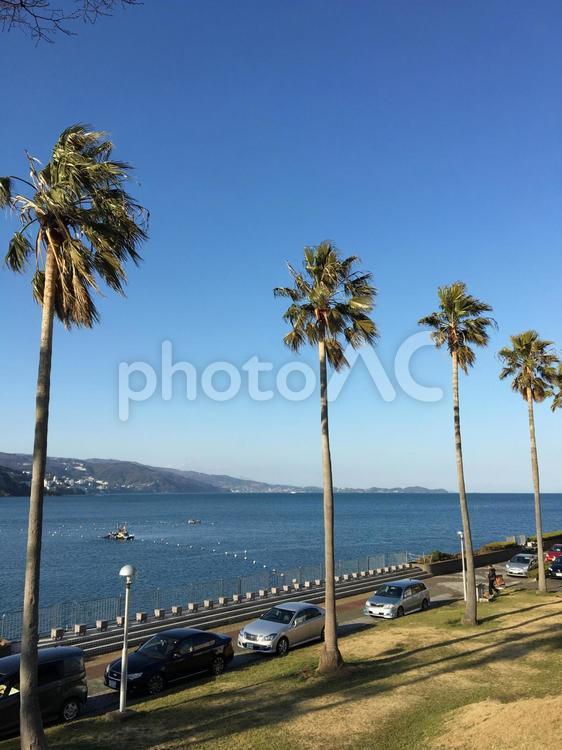 伊豆の海 浜,水域,旅の写真素材