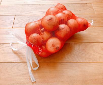 たまねぎネット たまねぎネット,玉ねぎ,ネットの写真素材