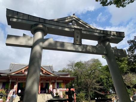 山王鳥居 山王鳥居,寺院,てらの写真素材