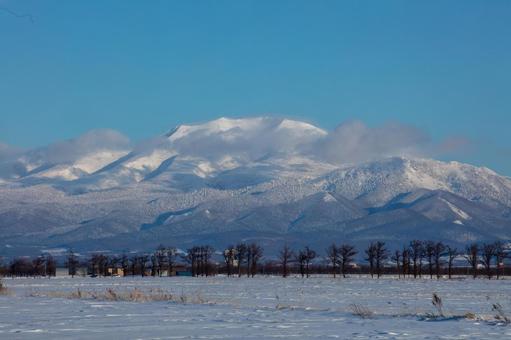 広大な雪原と海別岳 広大な雪原と海別岳の写真