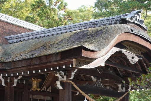 武田神社の茅葺屋根 神社,茅葺屋根,武田神社の写真素材