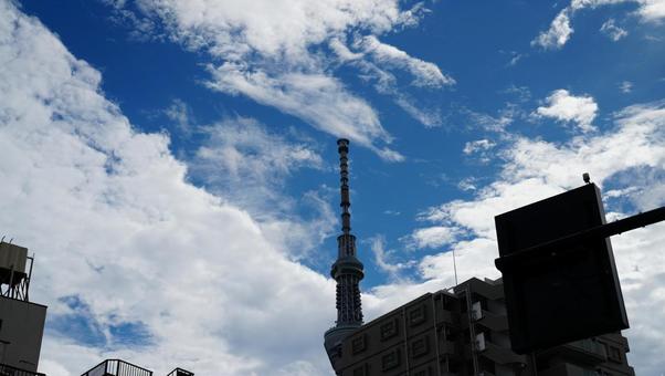 スカイツリーと青空 スカイツリーと青空の写真