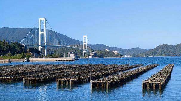 牡蠣養殖の風景 牡蠣養殖の風景 牡蠣養殖,とびしま街道の風景,瀬戸内海の写真素材