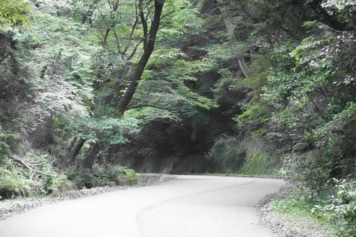 曲がりくねった山道 曲がりくねった山道 山,道,峠の写真素材