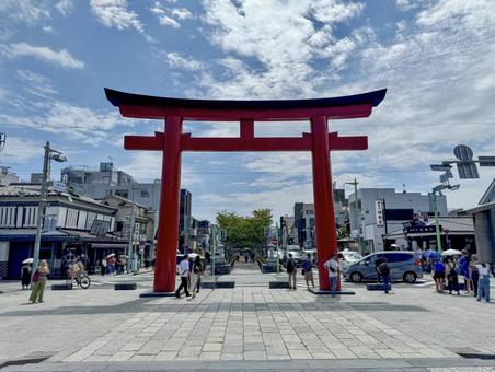 夏の鶴岡八幡宮 三の鳥居 夏の鶴岡八幡宮 三の鳥居の写真
