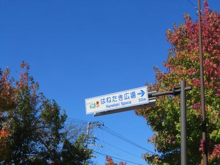 みどり市はねたき広場案内板 はねたき広場,案内,看板の写真素材