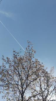 Photo, spring, sky, sky blue, 