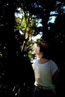 ＜素材＞暗い森の中を散策する女性の横顔 女性,木漏れ日,ウォーキングの写真素材